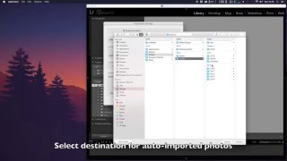 TLXClientDemo workflow [upl. by Gulgee]