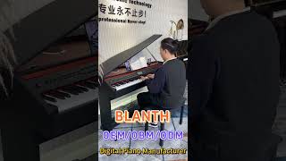 BLANTH digital piano [upl. by Ahsemaj]