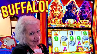 BIG BONUS ON BUFFALO GOLD CASH 100 IN CAN WE HIT THE JACKPOT [upl. by Willing333]