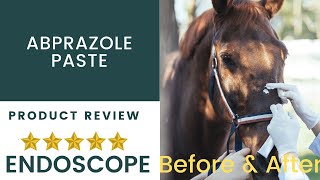 AbGard Omeprazole paste Equine Gastroscopy Before amp after treatment [upl. by Anima498]