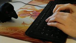 ASMR Writing Sprint Keyboard Typing mouse clicking turning pagesNo TalkingDay 36 [upl. by Anaibaf]