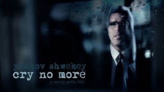 SHWEKEY  Cry No More [upl. by Stanwood108]