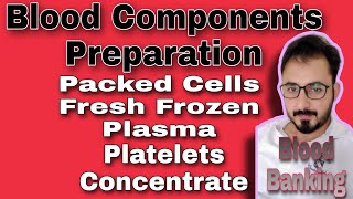 Blood Product Preparation FFP  Platelets and Mega Platelets [upl. by Vey]