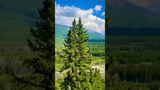 Kananaskis Village Kananaskis Alberta shorts canada [upl. by Elreath264]