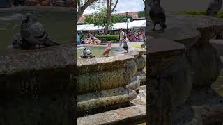 Fuente de Las Sirenas en La Antigua Guatemala [upl. by Eirrem]