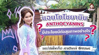 Ep29 “แอนโทไซยานิน” สารสีม่วงในผักและผลไม้ ดีต่อสุขภาพอย่างไร MorPalmY [upl. by Yerhcaz539]