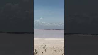 Las Coloradas Yucatan [upl. by Ullman587]