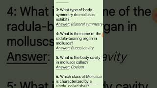 Molluscs  important questions zoology competitive exams [upl. by Ecinahc]