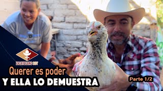 GALLINAS CRIOLLAS no sabíamos lo buenas que son [upl. by Holt]