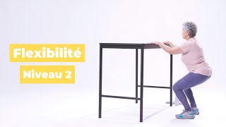 Flexibilité  Exercices pour les aînés  Niveau 2 de 4 [upl. by Weksler]