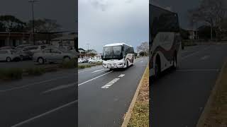 Beresfords Coaches new bonlucker at multiplex shorts coach busspotting bus bundaberg bonluck [upl. by Annayoj]