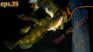 eps35 NightSpearfishing Bucas Grande Island SDN [upl. by Iaverne306]