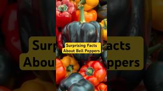 Surprising Facts About Bell Peppers BellPeppers VegetableFacts HealthyEating shorts [upl. by Koffman833]