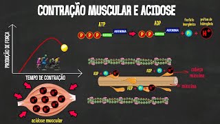 TUDO O QUE VOCÊ PRECISA SABER SOBRE BETAALANINA [upl. by Leach551]