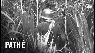 Guerillas Captured By US Troops In South Vietnam 1962 [upl. by Henley355]