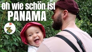 BADEN IN HEIßEN QUELLEN • Oh wie schön ist Panama • Bodhi Hostel • Weltreise mit Baby VLOG23 [upl. by Aihseket62]