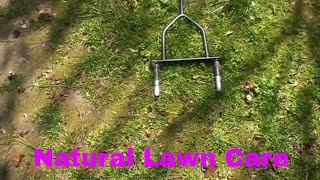 How To Aerate A Lawn By Hand [upl. by Lyon]