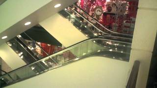 Escalators at State Street Macys in Chicago on Christmas Eve [upl. by Aciamaj]