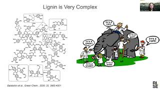 Lignin from idea to market  possibilities and challenges [upl. by Odnumyer425]