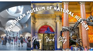 American Museum of Natural History  New York City [upl. by Manoop]