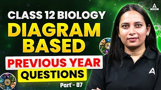 Class 12 Biology  Diagram Based Previous Year Questions Part 07  By Neelam Maam [upl. by Adniram750]