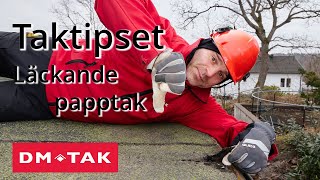 Taktipset  Läckande papptak [upl. by Thissa414]