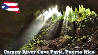 Camuy River Cave National Park Exploring Puerto Rico [upl. by Kore]