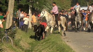 BARBENTANE BANDIDO PARCOURS OUVERT 11052024 ☀️ [upl. by Janeva510]