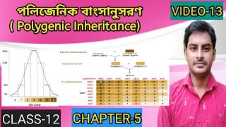 Polygenic Inheritance Multigenic inheritanceQuantitative inheritance in Bengaliclass 12 Biology [upl. by Sikleb]