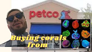 BUYING Corals and Saltwater fish from PETCO [upl. by Papst162]