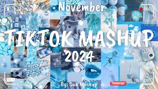 Tiktok Mashup November 💖2024💖 Not Clean [upl. by Ettenwahs835]