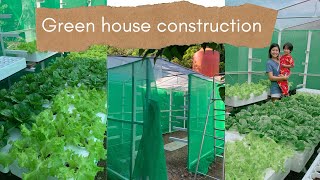 Ep9  Hydroponics Setup  How To Build Backyard Lettuce Greenhouse  Indang Cavite Philippines [upl. by Linnell638]