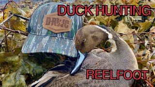 Reelfoot Lake Duck Hunting  William Riddle Blind [upl. by Ahsinak]