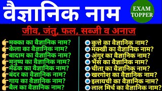 Scientific Name of animals  जीवजंतु एवं सब्जियों के वैज्ञानिक नाम  Science gk tricks  2021etc [upl. by Primrosa]