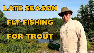 Late Season Fly Fishing For Trout In Newfoundland [upl. by Hamal]