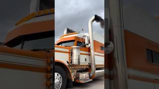 “Orange Dreamsicle” 379 largecar peterbilt shorts fyp viralvideo [upl. by Buxton]