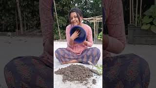 পাশের বাড়িতে হানা দিলাম কেনcoleusplant cuttingplants pottingsoil coleuscare viralshorts [upl. by Damal]