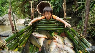 How to catch carp A clever boy traps fish with bamboo and catches a large group of fish [upl. by Aidua194]