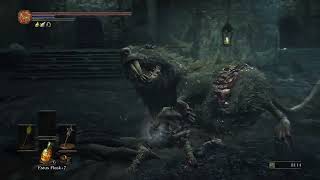 Dark Souls III  Strength Part 24  Profaned Capital [upl. by Nicram]