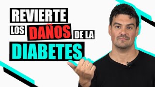 Qué es la DIABETES y Cómo REVERTIR su Daño de Forma NATURAL [upl. by Suoinuj]