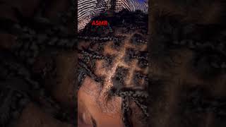 ASMR braid oiling and hair play hair braids asmrscalp [upl. by Evangelin]