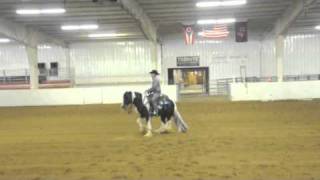 Gypsy Vanner Reining Horse Northwinds Fascination Ty [upl. by Annaeed145]