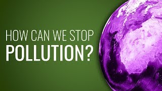 How Can We Stop Pollution [upl. by Carmita]