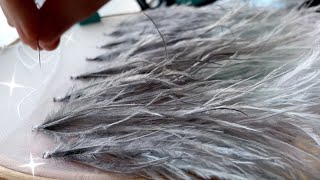 Ostrich Feather Embroidery Tutorial [upl. by Enileuqkcaj]