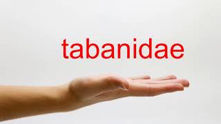 How to Pronounce tabanidae  American English [upl. by Haliled]