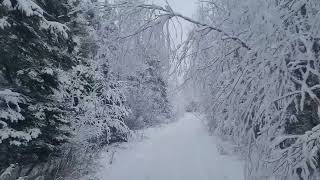 Winter in Manitoba Canada [upl. by Eglantine]