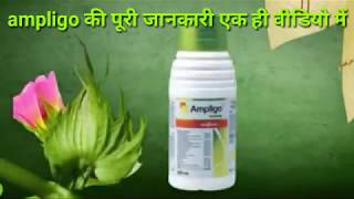 Ampligo insecticide Syngenta [upl. by Orly]