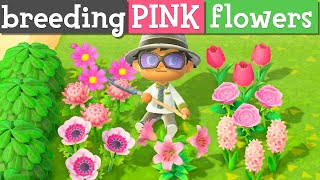 QUICK ways to get PINK flowers in Animal Crossing [upl. by Allebasi]