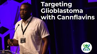 Targeting Glioblastoma Invasion and Survival with CannabisDerived Flavonoids  Akeem Gardner LLB [upl. by Maillw]