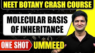 MOLECULAR BASIS OF INHERITANCE in 1 Shot  All Concepts Tricks amp PYQs  NEET Crash Course [upl. by Etnohc]